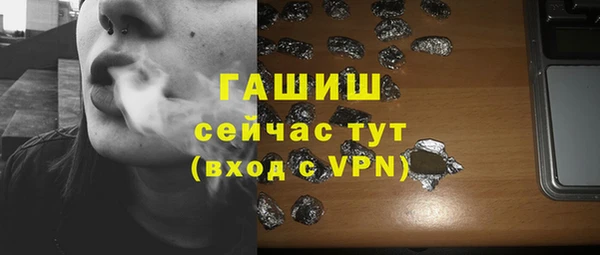 стаф Аркадак