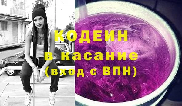 стаф Аркадак